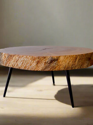 "Rings" Coffee Table