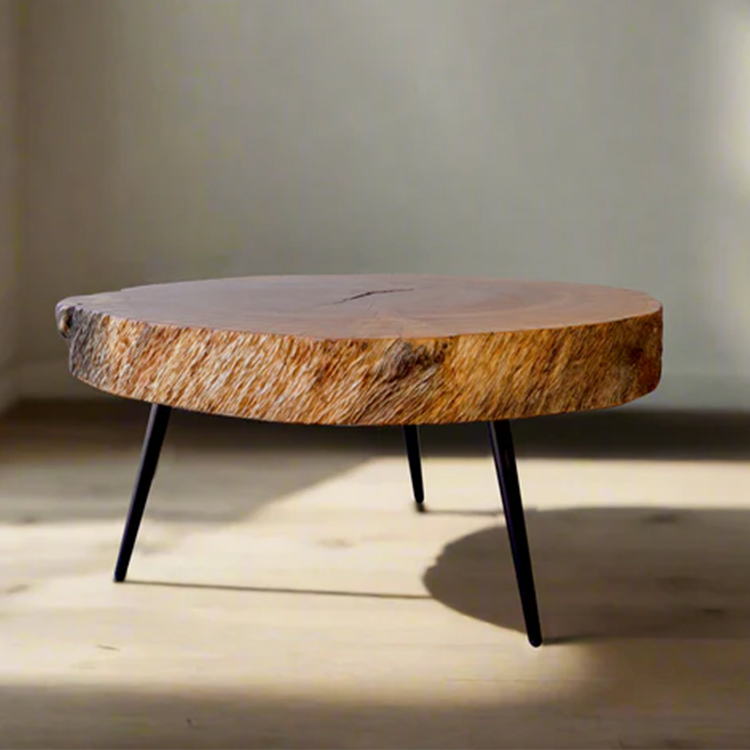 "Rings" Coffee Table