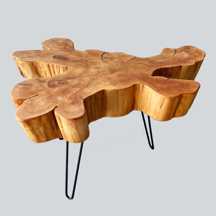 Simple Organic Coffee Table